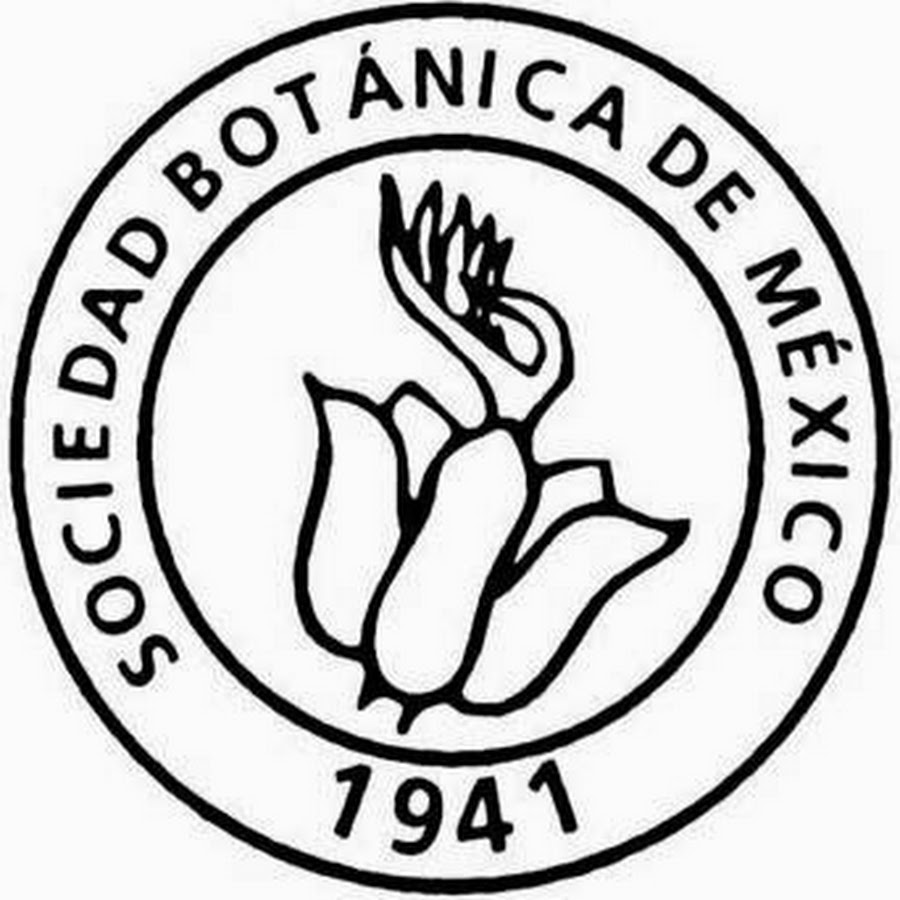 Planta del día – HERBARIO BCMEX Y JARDÍN BOTÁNICO UABC