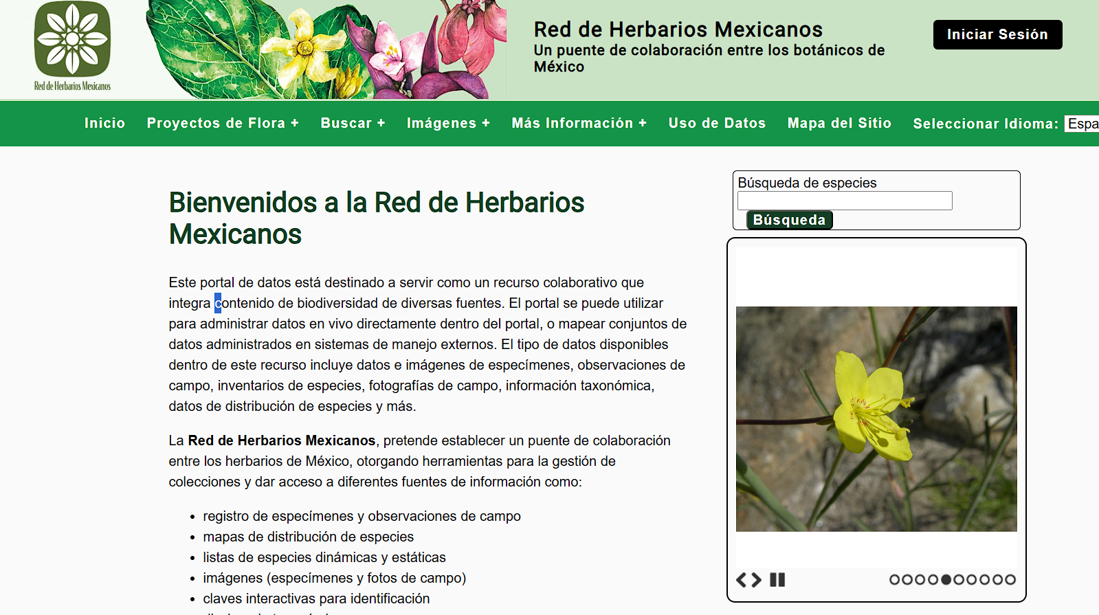 Red de herbarios mexicanos