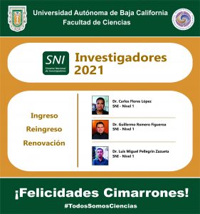 Investigadores SNI 2021