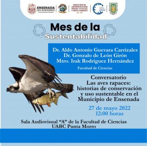 Se invita a toda la comunidad a participar en el conversatorio: Las aves rapaces: historias de la conservación y uso sustentable en el Municipio de Ensenada, en el mes de la sustentabilidad